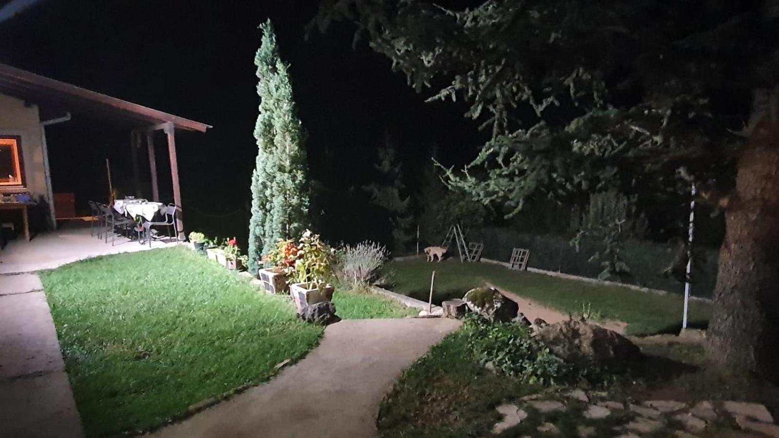 Dom Sa Pogledom Jela Βίλα Jelasnica  Εξωτερικό φωτογραφία